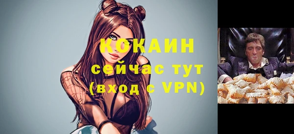 хмурый Кодинск