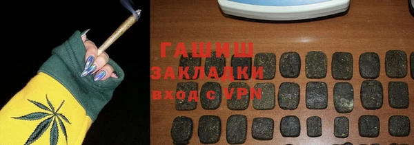 гашик Козельск