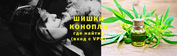 стаф Костерёво