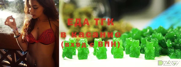 гашик Козельск