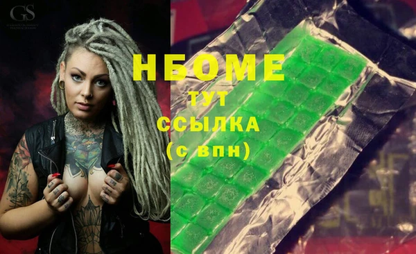 гашик Козельск