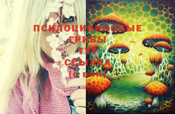 хмурый Кодинск