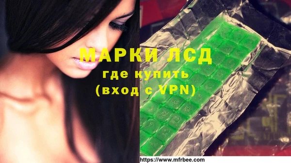 хмурый Кодинск