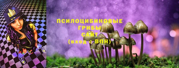 метамфетамин Козловка