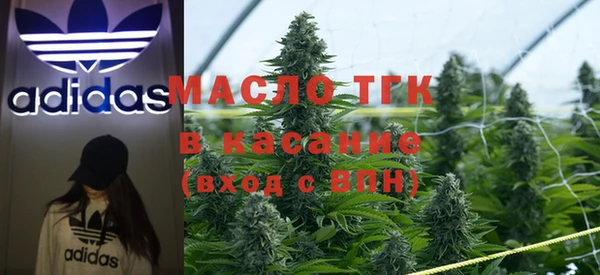 гашик Козельск