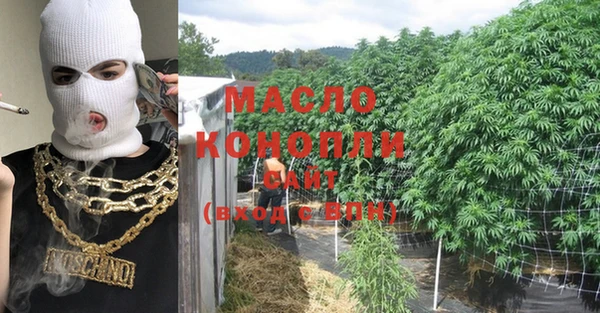 гашик Козельск