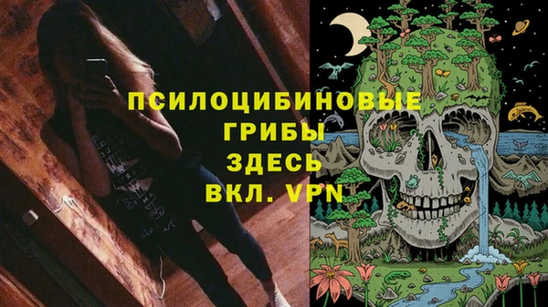ALPHA-PVP Коряжма
