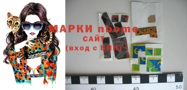 гашик Козельск