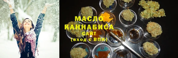 гашик Козельск